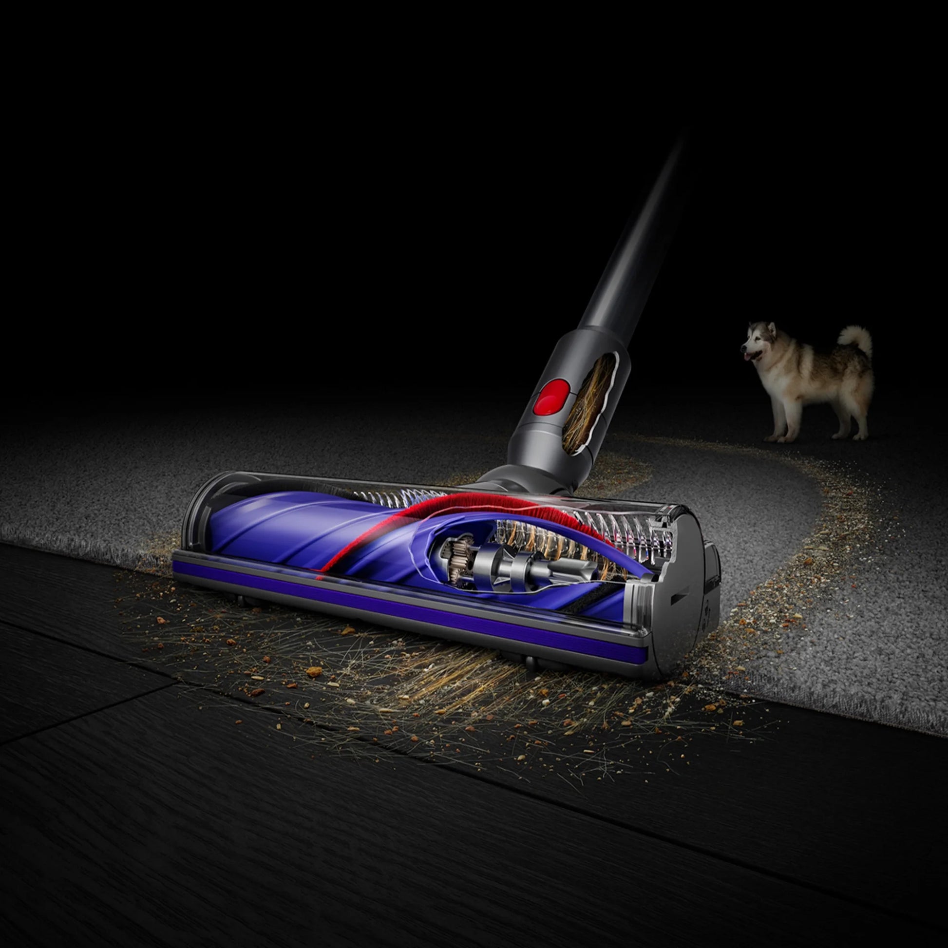 Dyson V8 Absolute Cordless Vacuum | Silver/Nickel | New