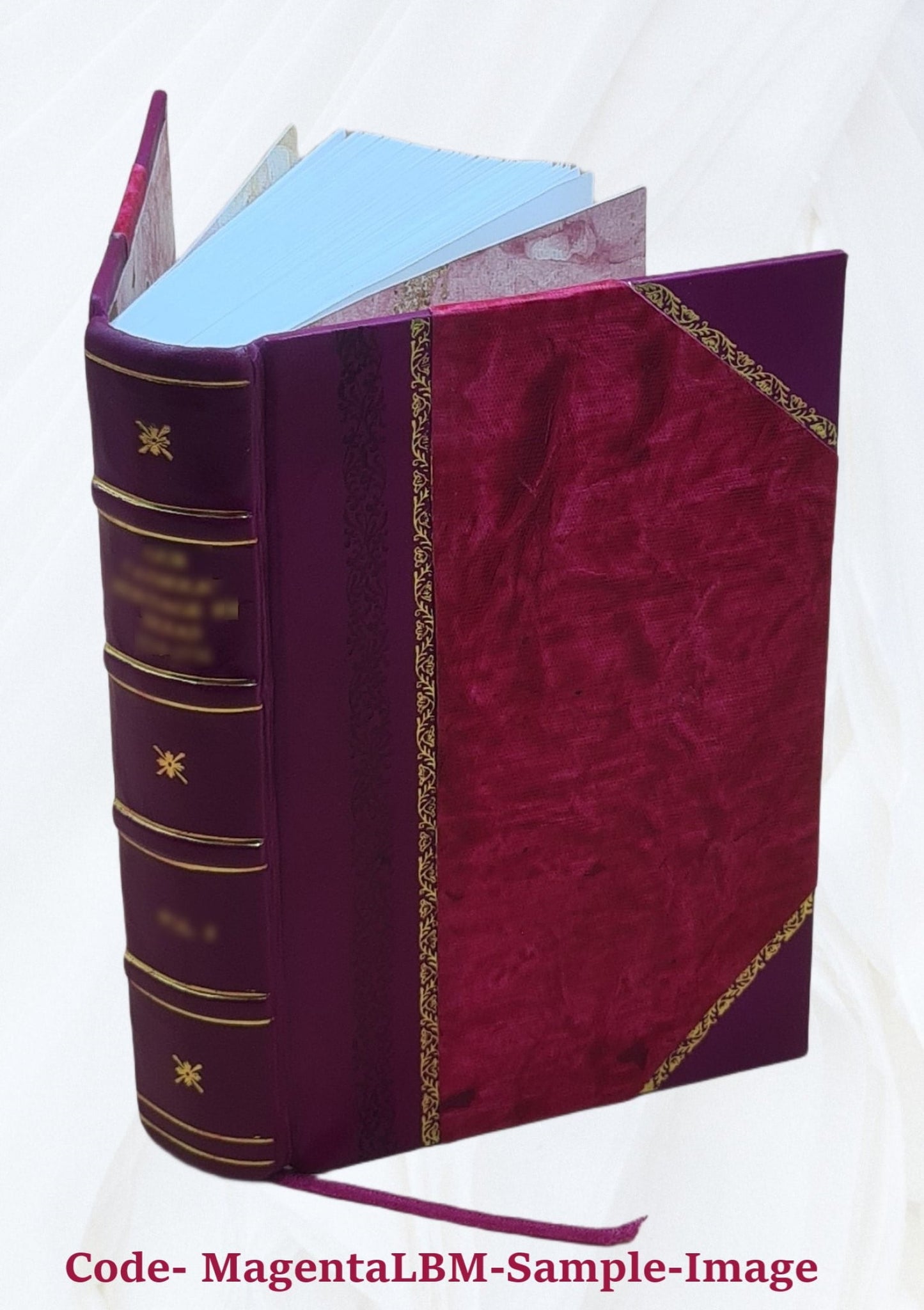 Zeitschrift für die Geschichte des Oberrheins Volume 46 1850 [Leather Bound]