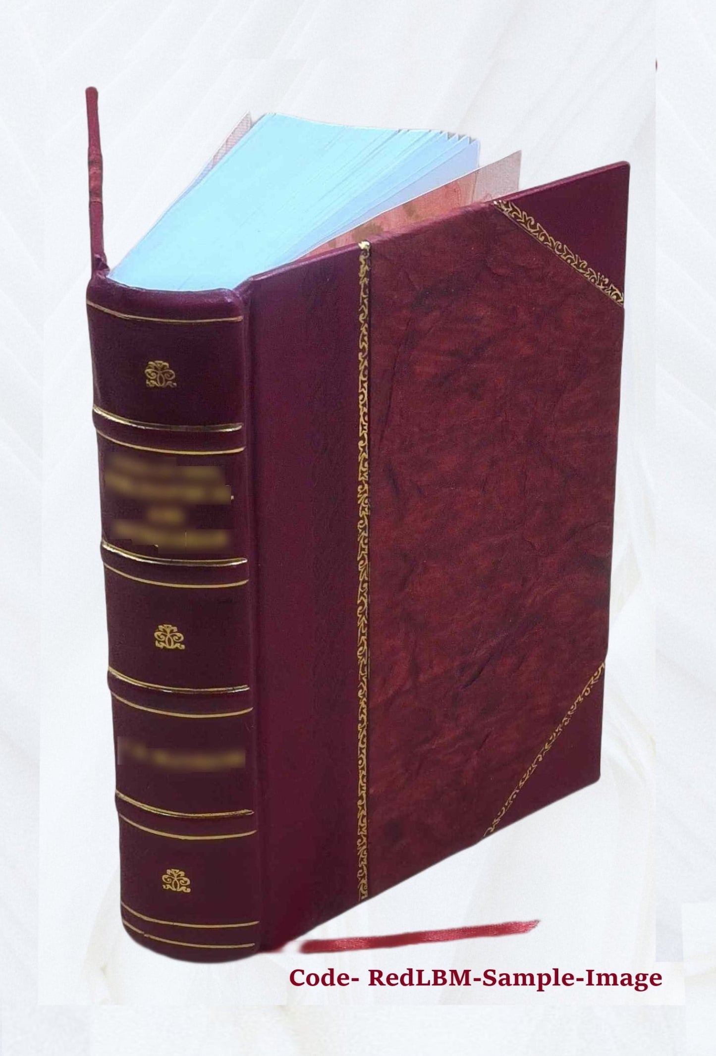 Zeitschrift für die Geschichte des Oberrheins Volume 46 1850 [Leather Bound]