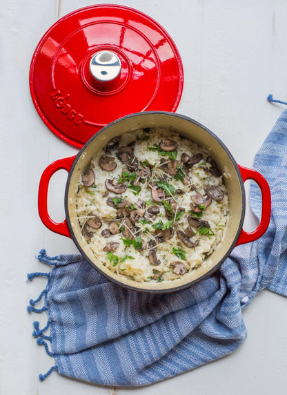 Lodge Cast Iron 5.5qt Red Enameled Dutch Oven