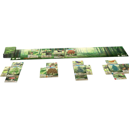 Forest Shuffle Family Card Game for Ages 10 and up, from Asmodee