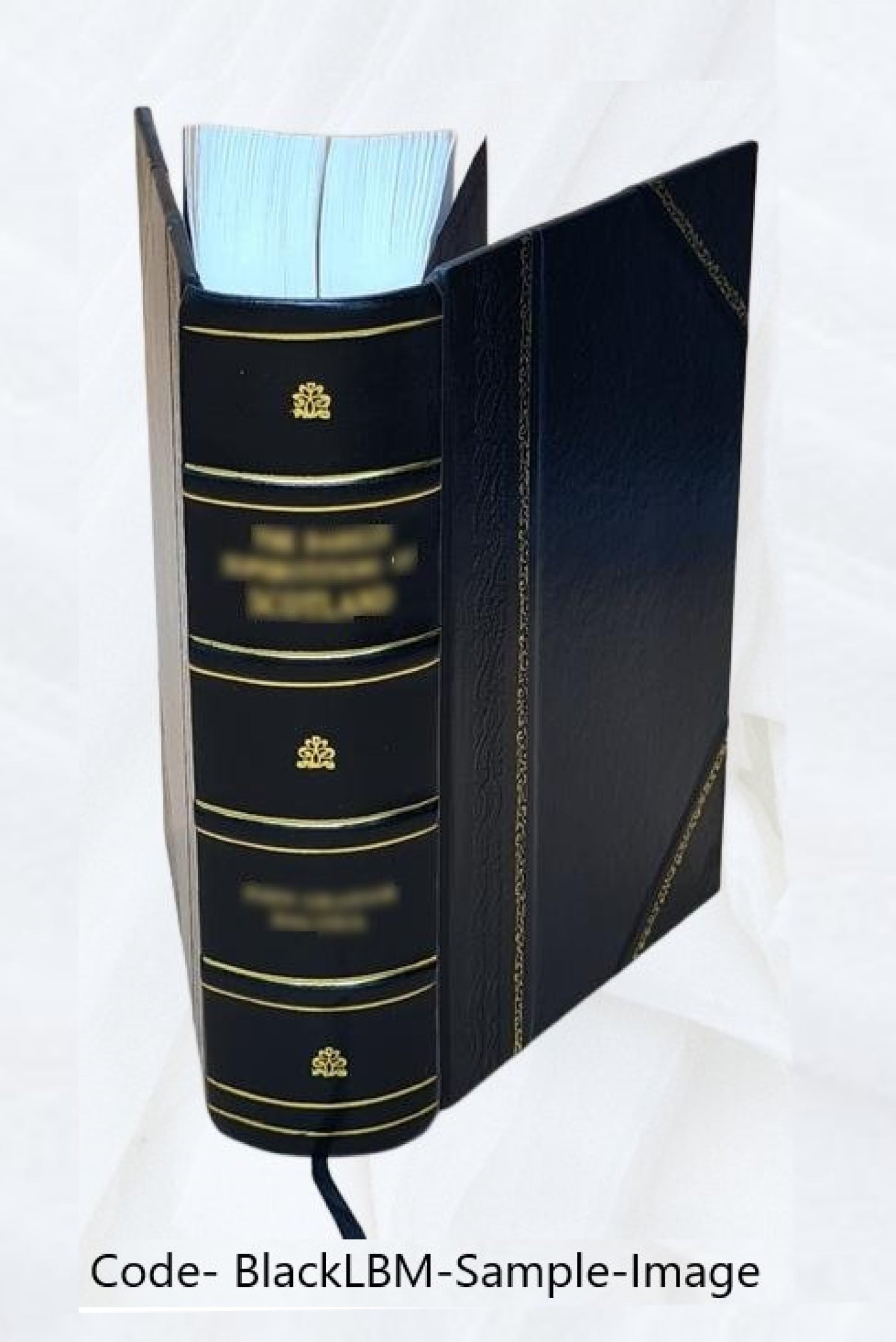 Zeitschrift für die Geschichte des Oberrheins Volume 46 1850 [Leather Bound]